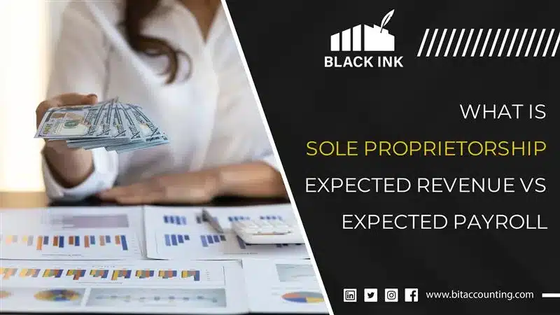 What is Sole Proprietor Ship Expected Revenue Vs Expected Payroll?